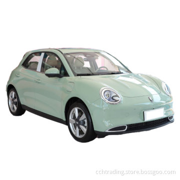 Ora Good Cat Adult EV auto 2023 5 porte 5 posti auto elettrica